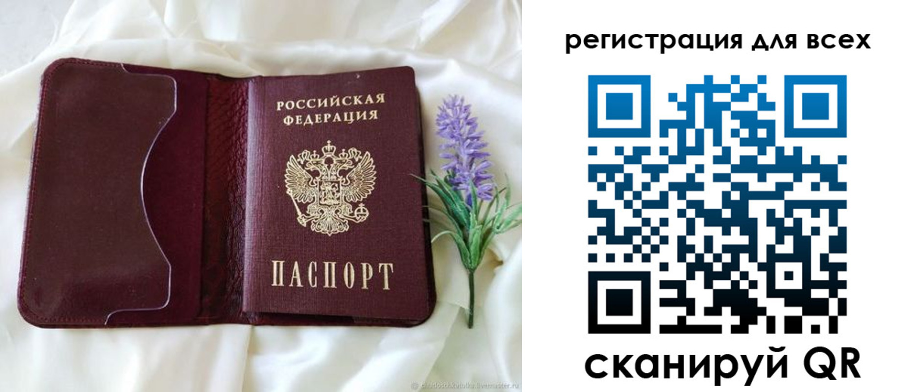 прописка 2025 в Ардоне